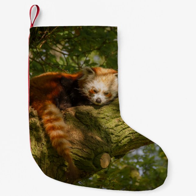 PETITE CHAUSSETTE DE NOËL PANDA ROUGE SUR BRANCHE ARBRE VERT (Devant)