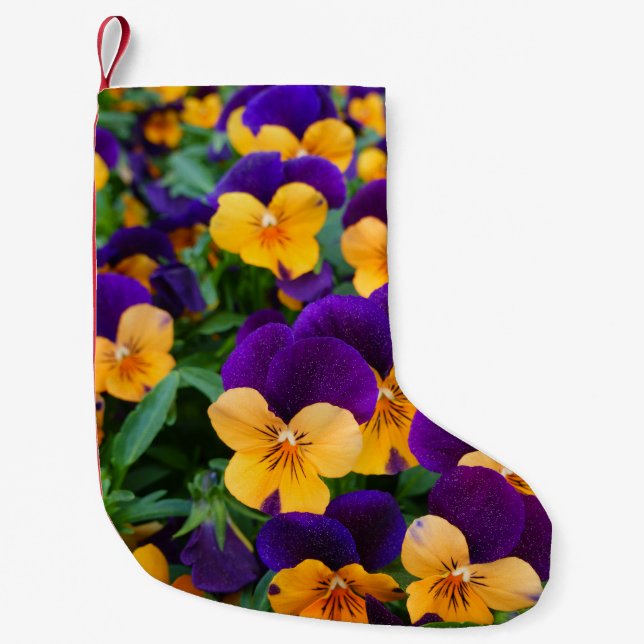 Petite Chaussette De Noël Pansy Bloom : Garden Beauty Gros plan. (Devant)