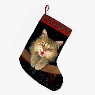 Petite Chaussette De Noël Peinture de chat Mad - Cute Original Cat Art