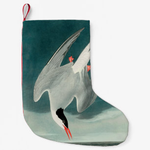Petite Chaussette De Noël Peinture de la faune de la sterne de l'Arctique Au