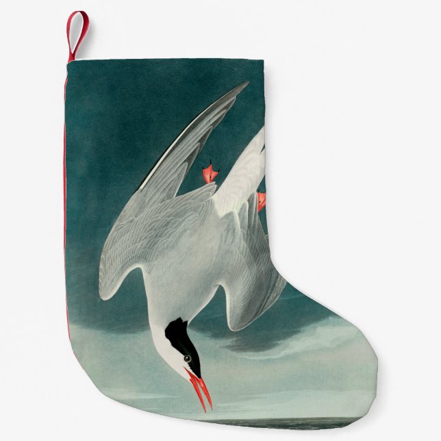 Petite Chaussette De Noël Peinture de la faune de la sterne de l'Arctique Au (Devant)