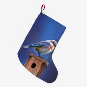 Petite Chaussette De Noël Peinture pour oiseaux bleus (femelle) - Art origin