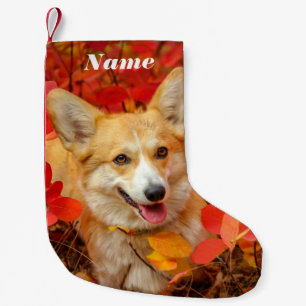 Petite Chaussette De Noël Pembroke Welsh Corgi Chien chiot en Feuille rouge
