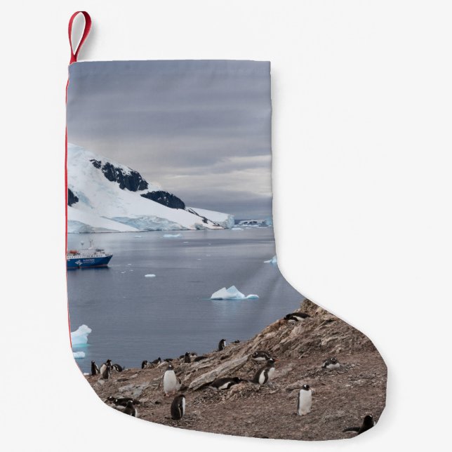 PETITE CHAUSSETTE DE NOËL PENGUINS BESEIN (Devant)