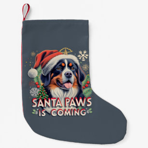 Petite Chaussette De Noël Père Noël Paws Vient Noël Du Chien Bernais