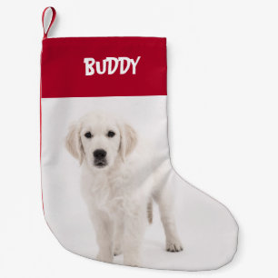 Petite Chaussette De Noël Personnalisation de la photo et du nom de l'animal