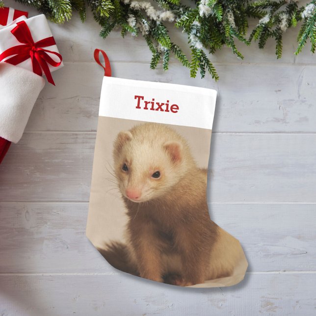 Petite Chaussette De Noël Pet Ferret Lover Photo et nom Personnalisé (Créateur téléchargé)