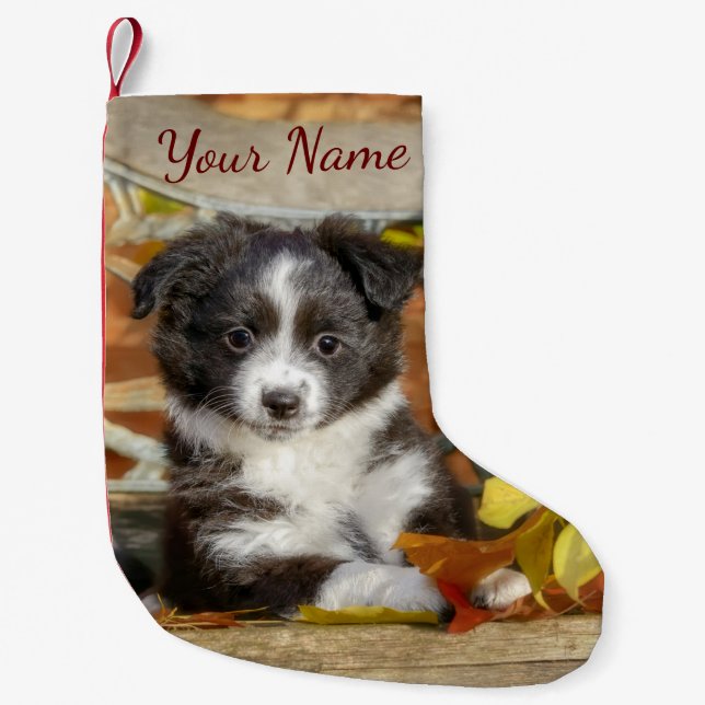 Petite Chaussette De Noël Petit Chien-Chien-Chien-Chien-Chien-Chien-Chien-Ch (Devant)