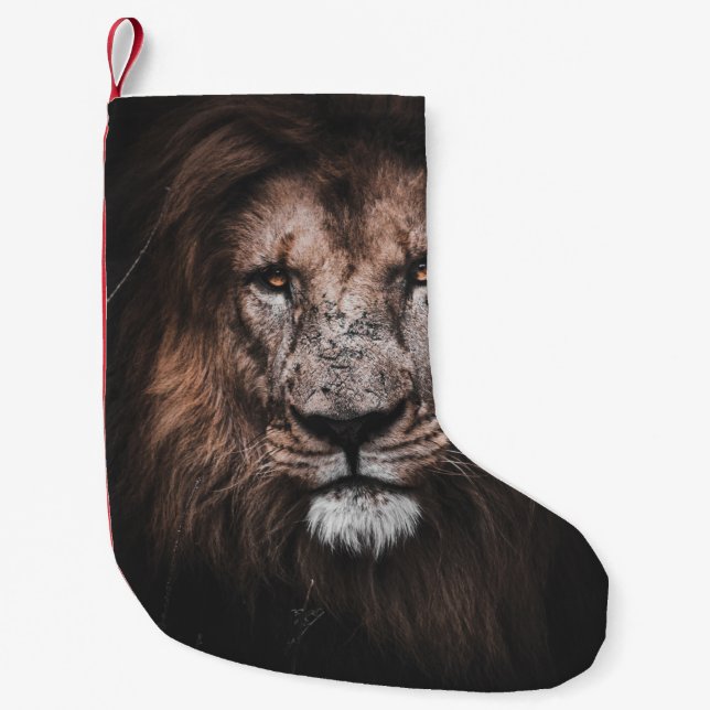 PETITE CHAUSSETTE DE NOËL PHOTO DE BROWN LION (Devant)