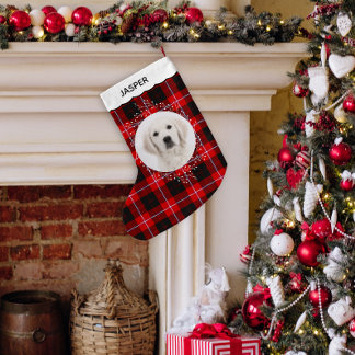 Petite Chaussette De Noël Photo de chien avec couronne hivernale à carreaux