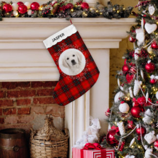 Petite Chaussette De Noël Photo de chien avec couronne hivernale à carreaux