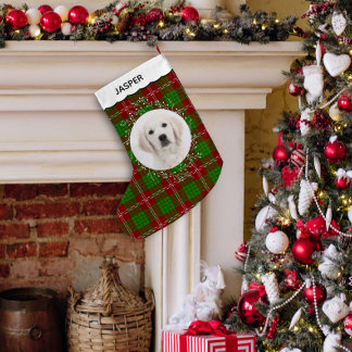 Petite Chaussette De Noël Photo de chien de compagnie avec tartan rouge et v