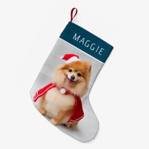Petite Chaussette De Noël Photo de chien de compagnie bleu élégant avec nom