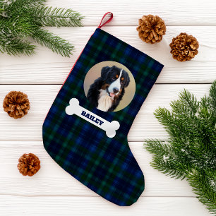 Petite Chaussette De Noël Photo de chien domestique Tartan écossais bleu mar