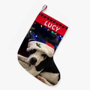Petite Chaussette De Noël Photo de chien et nom  Empreintes de pattes noirs 