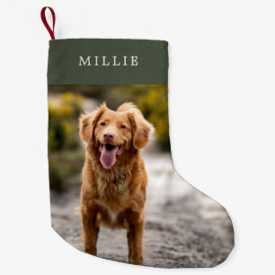 Petite Chaussette De Noël Photo de compagnie verte minimaliste moderne