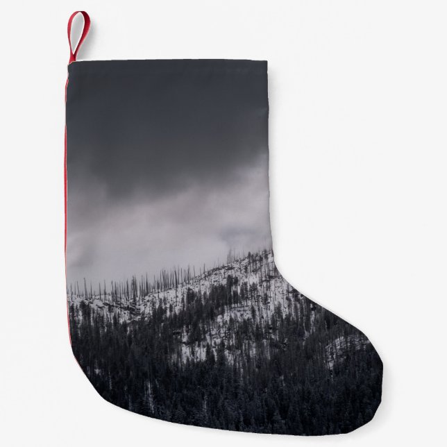 PETITE CHAUSSETTE DE NOËL PHOTO DE L'ARBRE À L'ÉCHELLE GRAPHIQUE (Devant)