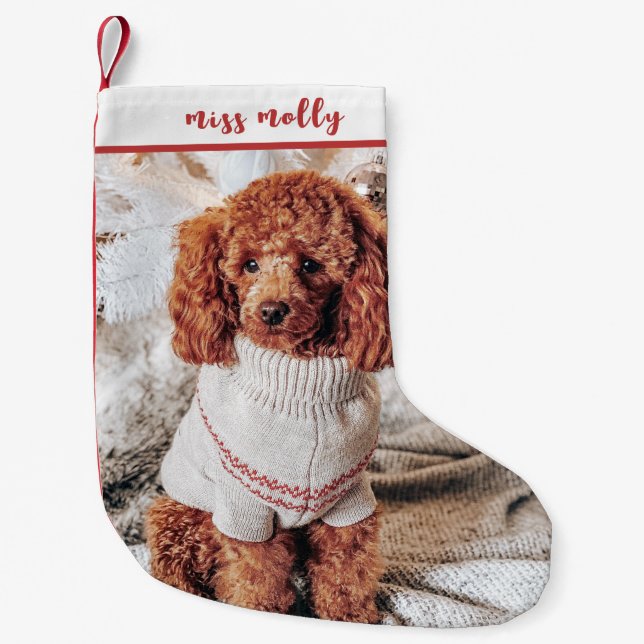 Petite Chaussette De Noël Photo de Noël d'animal de compagnie mignon (Devant)