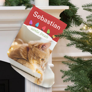 Petite Chaussette De Noël Photo de nom de chat personnalisé