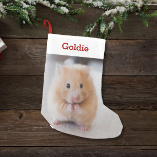 Petite Chaussette De Noël Photo et nom d'amant de hamster d'animal familier