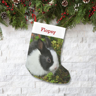 Petite Chaussette De Noël Photo et nom de lapin d'amant de lapin d'animal