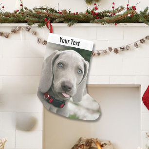 Petite Chaussette De Noël Photo et nom du chien Weimaraner personnalisé