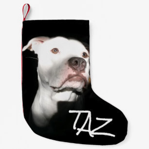 Petite Chaussette De Noël Photo faite sur commande de nom de chien
