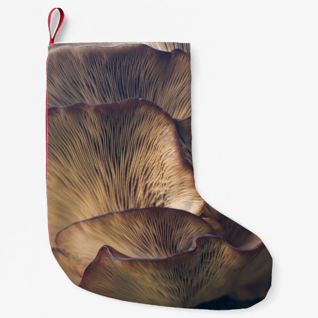 Petite Chaussette De Noël Photo focale sélective du champignon (Devant)