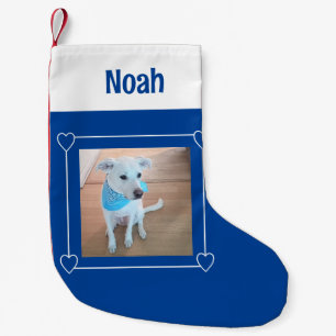 Petite Chaussette De Noël Photo mignonne de chien chiot doux bleu et blanc