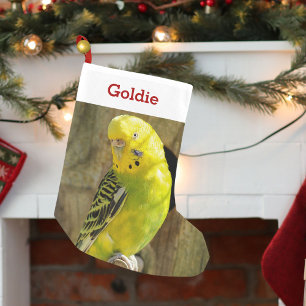 Petite Chaussette De Noël Photo mignonne et nom d'amant d'oiseau d'animal