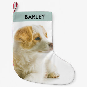 Petite Chaussette De Noël Photo personnalisé de chien de compagnie Fête de v