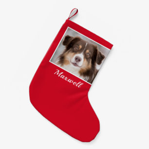 Petite Chaussette De Noël Photo personnalisée de chien