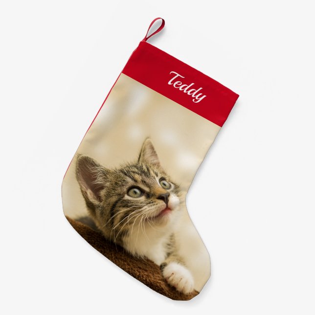 Petite Chaussette De Noël Photo personnalisée pour animal de compagnie (Devant (Accrochage))