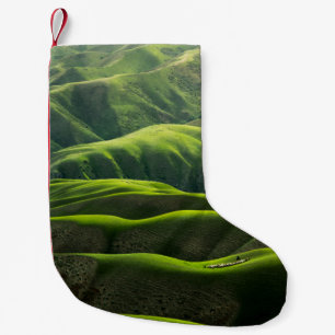 PETITE CHAUSSETTE DE NOËL PHOTOGRAPHIE DE L'OISEAU DES MONTAGNES VERTES