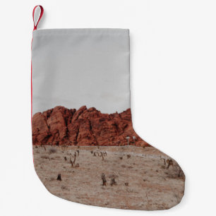 PETITE CHAUSSETTE DE NOËL PHOTOGRAPHIE DU PAYSAGE DE LA MONTAGNE