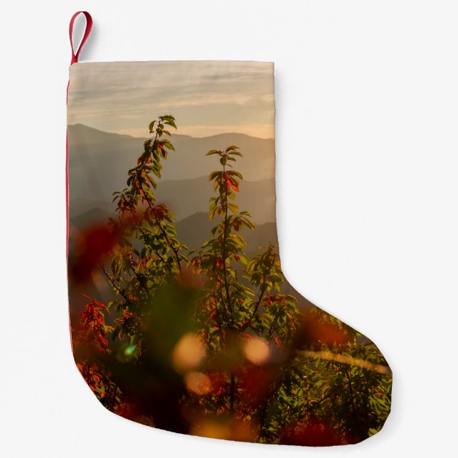 PETITE CHAUSSETTE DE NOËL PHOTOGRAPHIE NATURELLE DES ARBRES VERTS SURPLOMBAN (Devant)