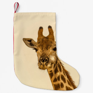 PETITE CHAUSSETTE DE NOËL PHOTOGRAPHIE SÉLECTIVE DE GIRAFFE