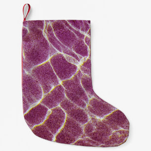 Petite Chaussette De Noël Photographie sous-marine de sable