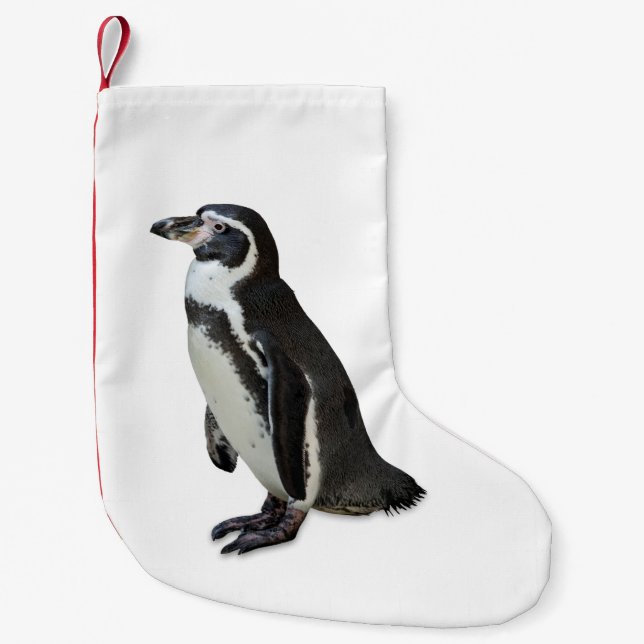 Petite Chaussette De Noël Pingouin (Devant)