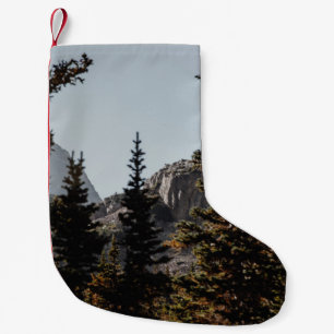 PETITE CHAUSSETTE DE NOËL PINS VERTS PRÈS DE LA MONTAGNE EN JOURNÉE