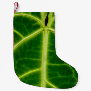 Petite Chaussette De Noël Plante à feuilles vertes