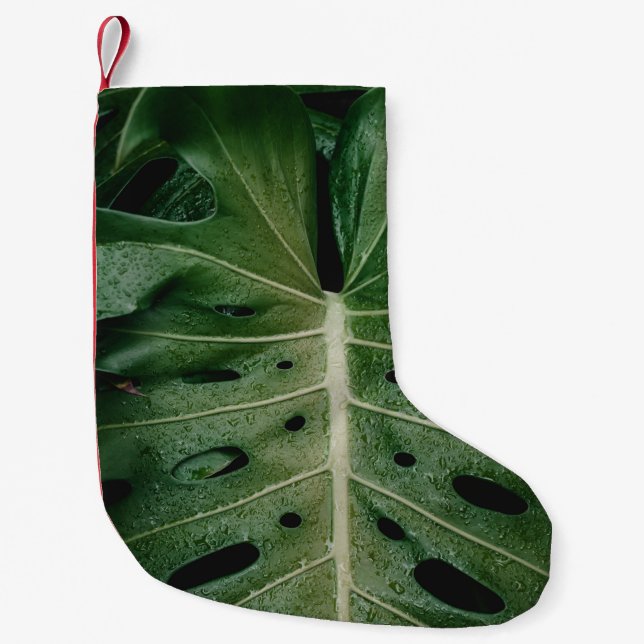 Petite Chaussette De Noël Plante de feuille verte (Devant)