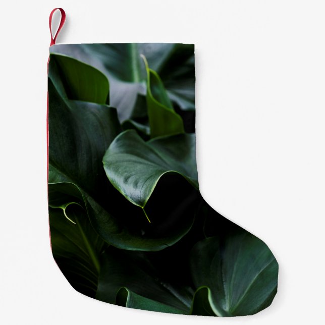 PETITE CHAUSSETTE DE NOËL PLANTE VERT (Devant)
