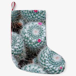 Petite Chaussette De Noël Plantes de cactus aux minuscules fleurs roses