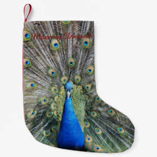 Petite Chaussette De Noël Plein plumage de paon bleu