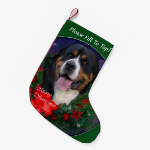 Petite Chaussette De Noël Plus grand Noël suisse de chien de montagne