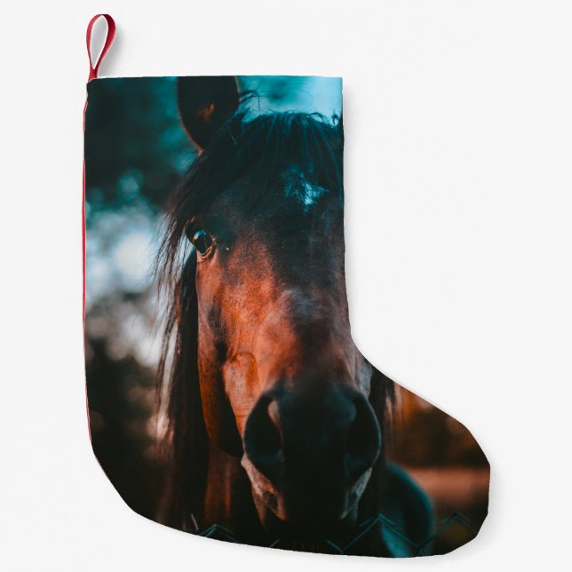 PETITE CHAUSSETTE DE NOËL PORTRAIT CHEVAL (Devant)