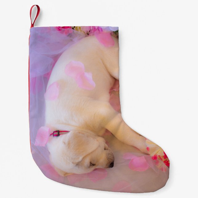 Petite Chaussette De Noël Puppy Sleepy (Devant)