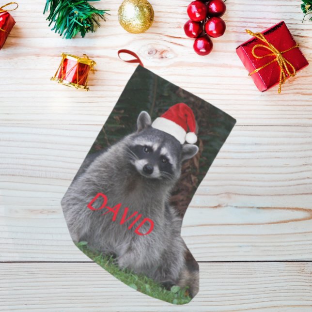 Petite Chaussette De Noël Raccoon portant le chapeau rouge du Père Noël avec (In Situ)