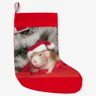 Petite Chaussette De Noël Rat d'animal familier, bouleau, bas de Noël
